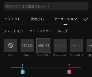 テキストに「アニメーション」を付ける画面の写真